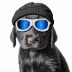 puppy dressed up as the incognito mode avatar